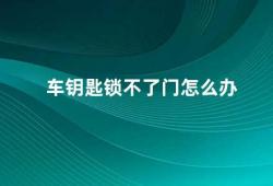 车钥匙锁不了门怎么办（车钥匙无法锁门的解决方法）