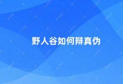 野人谷如何辩真伪（如何判断野人谷的真伪）