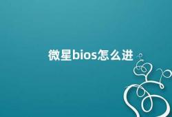 微星bios怎么进（微星BIOS设置方法详解）