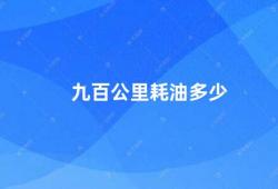 九百公里耗油多少（九百公里行驶如何节省油耗）