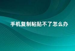 手机复制粘贴不了怎么办（手机复制粘贴无效的解决方法）