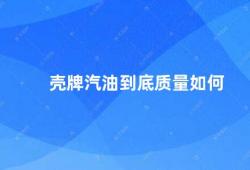 壳牌汽油到底质量如何（壳牌汽油的品质如何）