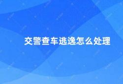 交警查车逃逸怎么处理（交通违法逃逸的处理方式）