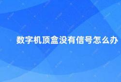 数字机顶盒没有信号怎么办（数字机顶盒无信号的解决方法）