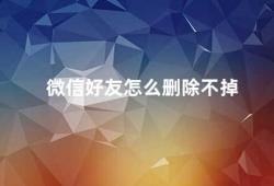 微信好友怎么删除不掉（如何解决微信好友无法删除的问题）