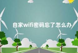 自家wifi密码忘了怎么办（如何找回家庭WiFi密码）