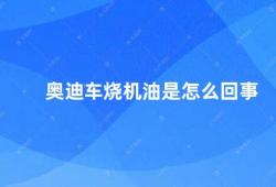 奥迪车烧机油是怎么回事（奥迪车烧机油的原因及解决方法）