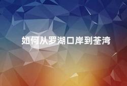 如何从罗湖口岸到荃湾（从罗湖口岸到荃湾的交通方式及路线介绍）