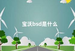 宝沃bsd是什么（宝沃BSD一款高性能SUV）