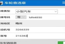 不知道车辆发动机号怎么查违章(如何处理车辆的违章记录)