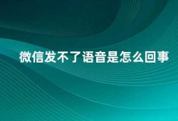 微信发不了语音是怎么回事（微信语音发送失败的解决方法）