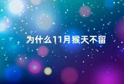 为什么11月猴天不留（为什么猴年11月没有猴天）