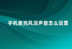 手机麦克风没声音怎么设置（手机麦克风无声这些方法帮你解决）