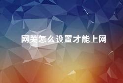 网关怎么设置才能上网（如何设置网关实现网络连接）