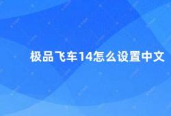 极品飞车14怎么设置中文（极品飞车14）