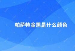 帕萨特金黑是什么颜色（帕萨特金黑高贵与独特的完美结合）