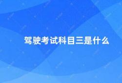 驾驶考试科目三是什么（科目三考试驾驶技能考核）