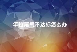 年检尾气不达标怎么办（车辆年检尾气不达标的原因及解决方法）