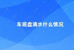 车底盘滴水什么情况（车底盘滴水的原因及处理方法）