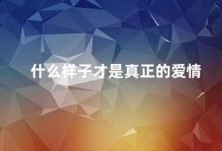 什么样子才是真正的爱情（探究爱情的真谛）