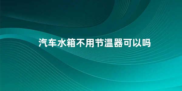 汽车水箱不用节温器可以吗