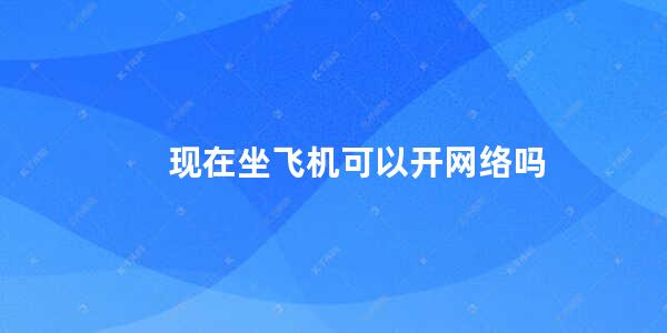 现在坐飞机可以开网络吗