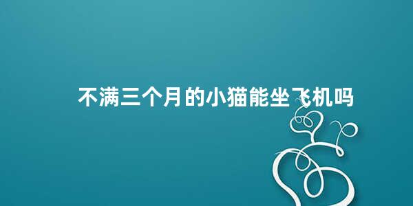 不满三个月的小猫能坐飞机吗