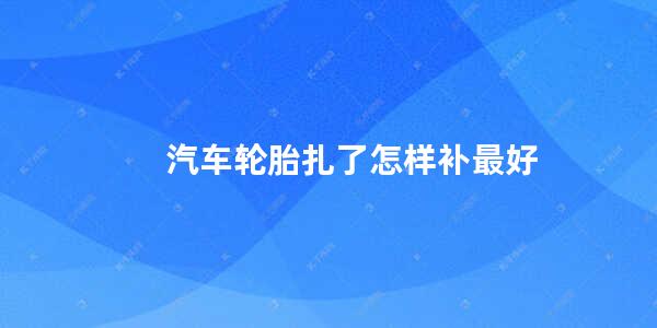 汽车轮胎扎了怎样补最好