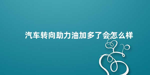 汽车转向助力油加多了会怎么样