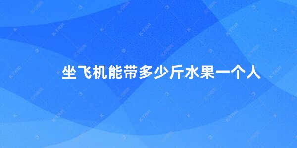 坐飞机能带多少斤水果一个人