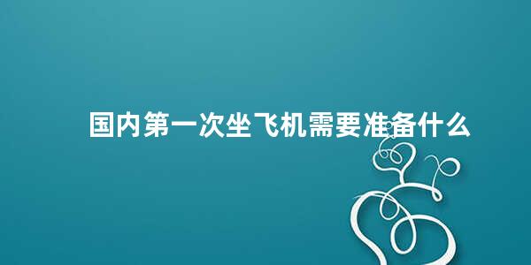 国内第一次坐飞机需要准备什么