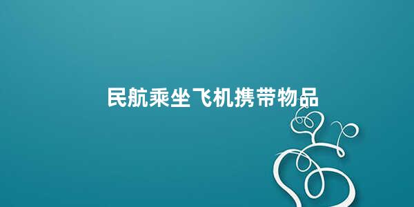 民航乘坐飞机携带物品