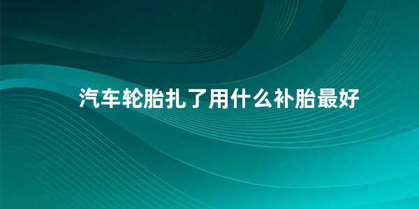 汽车轮胎扎了用什么补胎最好