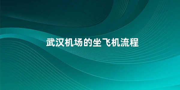 武汉机场的坐飞机流程