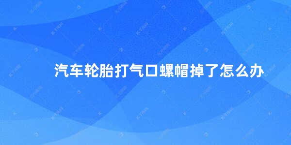 汽车轮胎打气口螺帽掉了怎么办