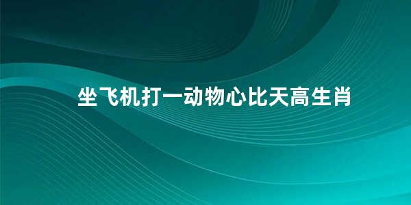 坐飞机打一动物心比天高生肖