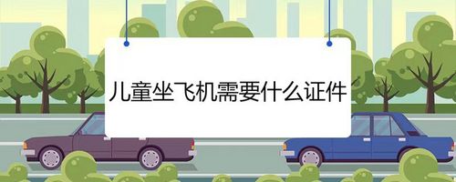 十六岁以下坐飞机需要什么证件(如果孩子在飞行中需要特殊照顾应该怎么办)