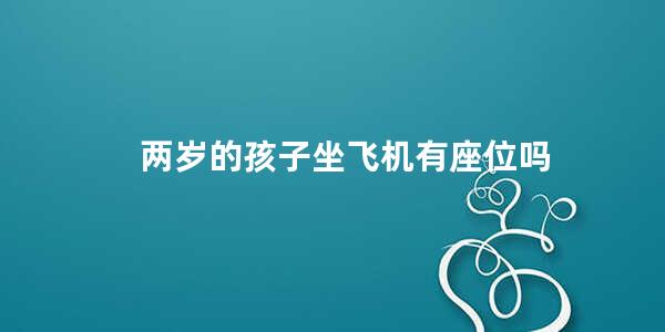 两岁的孩子坐飞机有座位吗