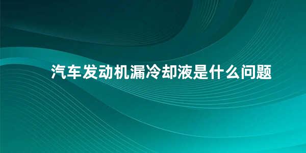 汽车发动机漏冷却液是什么问题