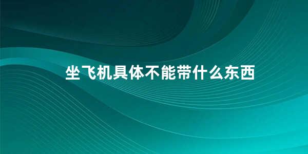 坐飞机具体不能带什么东西