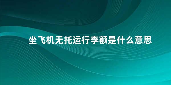 坐飞机无托运行李额是什么意思