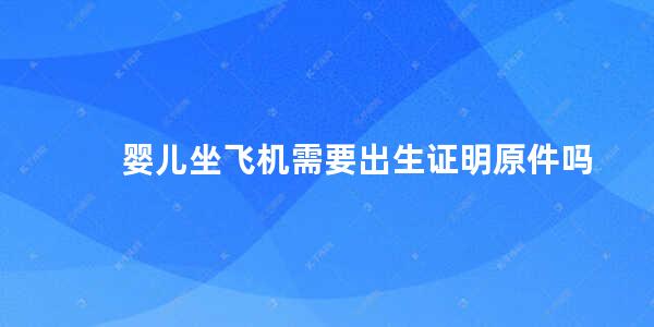 婴儿坐飞机需要出生证明原件吗