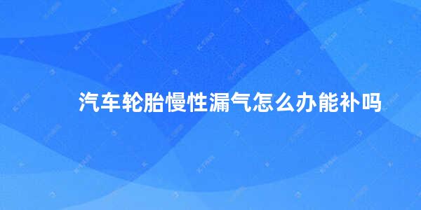 汽车轮胎慢性漏气怎么办能补吗