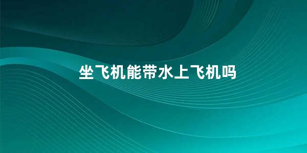 坐飞机能带水上飞机吗