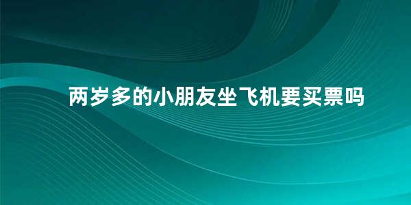 两岁多的小朋友坐飞机要买票吗