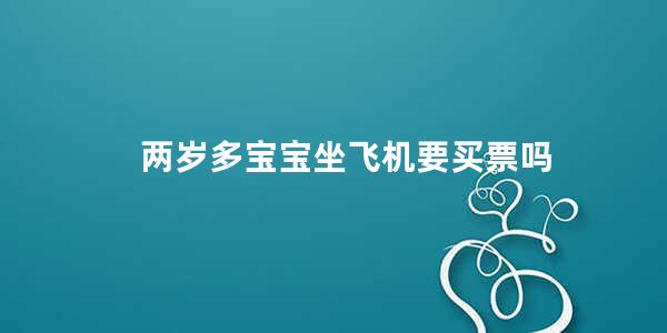 两岁多宝宝坐飞机要买票吗