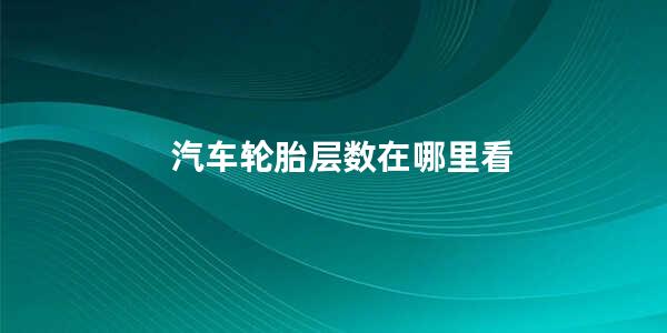 汽车轮胎层数在哪里看