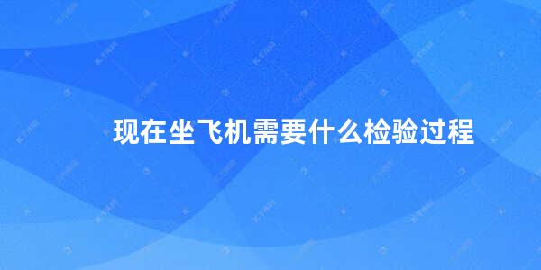 现在坐飞机需要什么检验过程