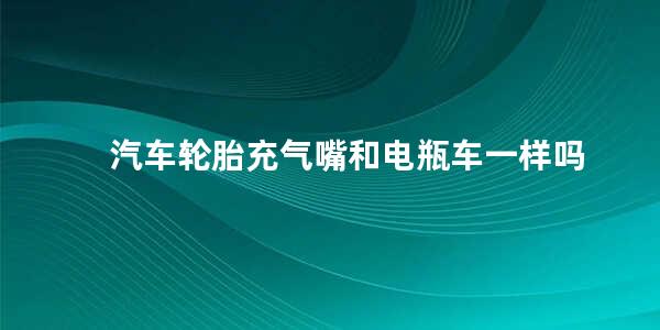 汽车轮胎充气嘴和电瓶车一样吗