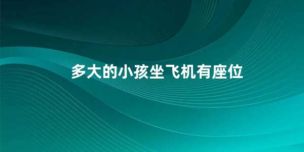 多大的小孩坐飞机有座位